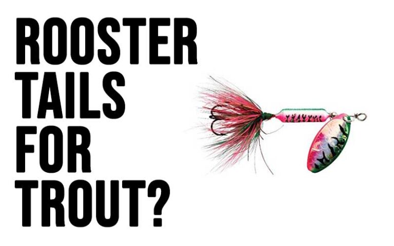 are rooster tails good for trout?