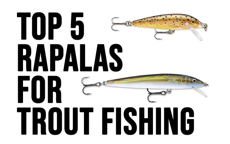 top 5 rapalas for trout fishing
