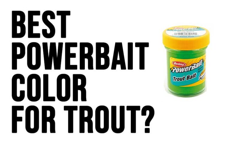comparing best powerbait colors for trout